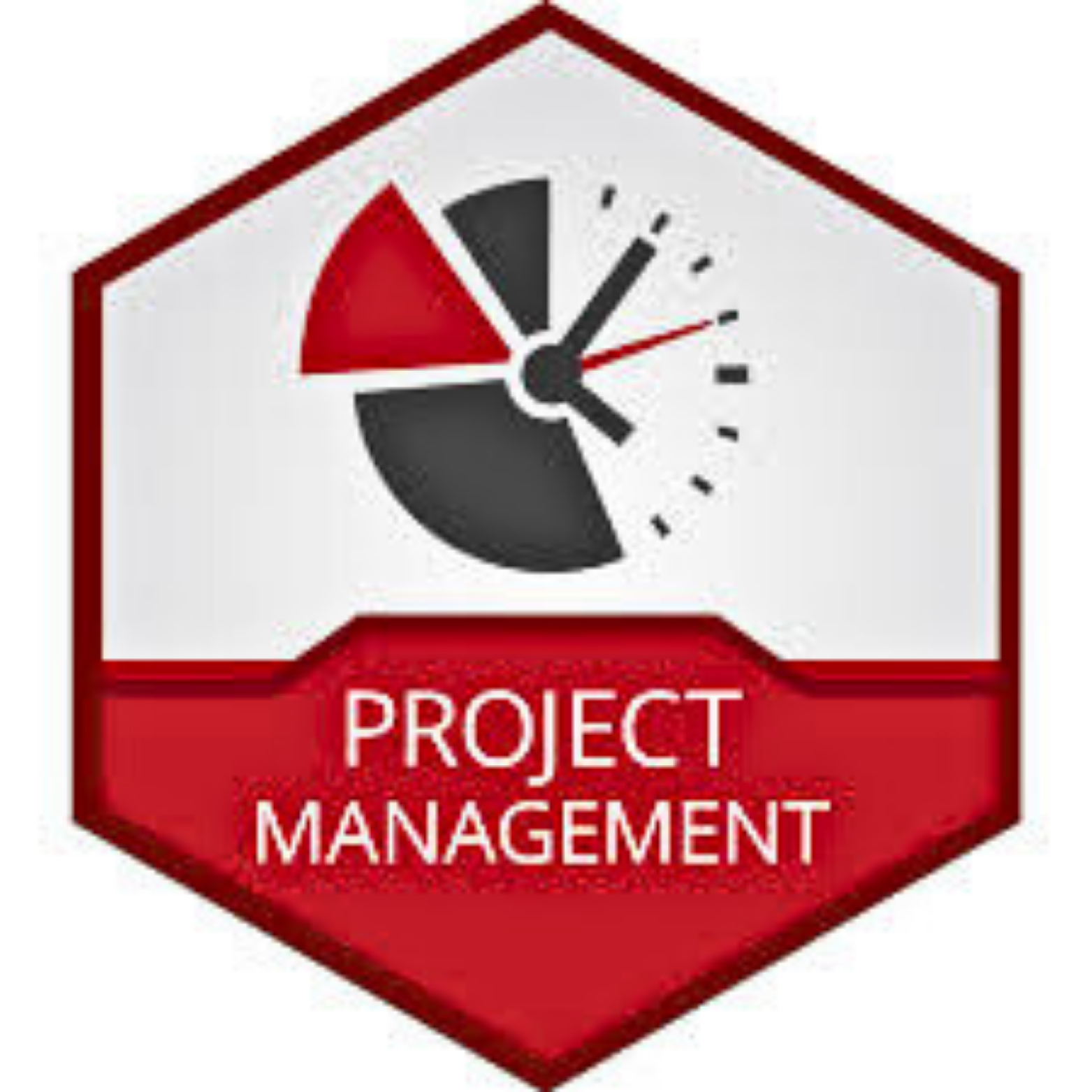 Project Management